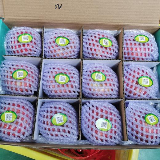 【正宗洛川苹果】顶端果业水晶红富士苹果礼盒12枚75mm 中果 一个人吃不大不小刚刚好 商品图1