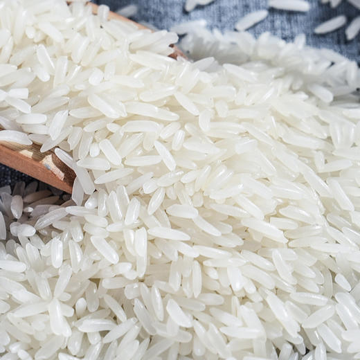 金太粮油粘王 500g 商品图4