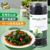 派绅有机幼嫩小海带  干货昆布霞浦海带苗凉拌免切60g/罐【京东快递送货上门】 商品缩略图1