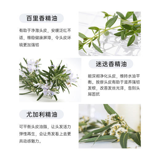 雅琪朵：头皮调理洗发精 100ml   去屑控油洗发水 商品图5