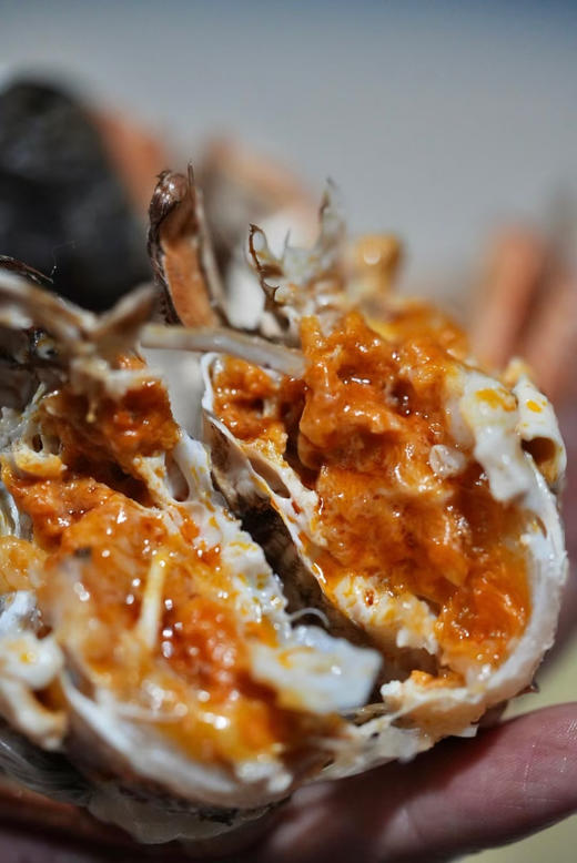 阳澄湖外贸断脚蟹丨性价比超高，精挑细选，供应外贸出口品质 肉肥黄满⭐️顺丰空运 商品图1