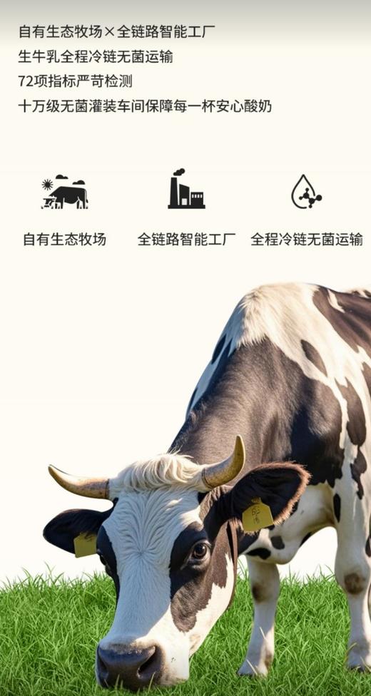 老扬州奶皮子酸奶19.8元1份5杯，明天到 商品图4