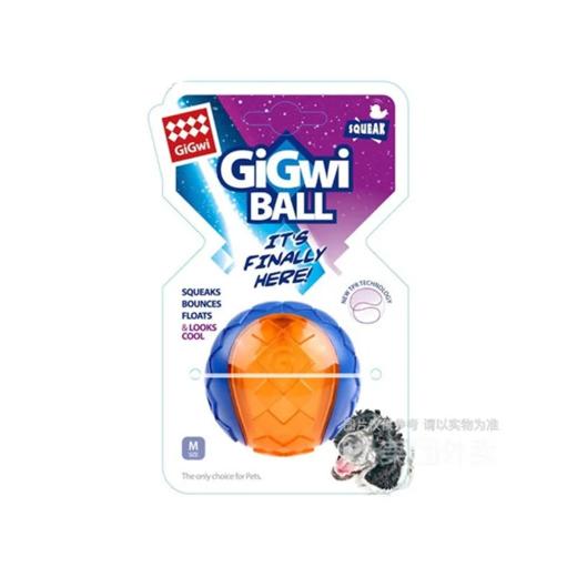 【超市】贵为 犬用G-Ball球（小号透明）1个 商品图0
