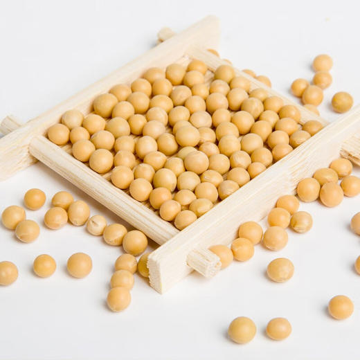 七河源有机黄大豆1kg【※】 商品图6