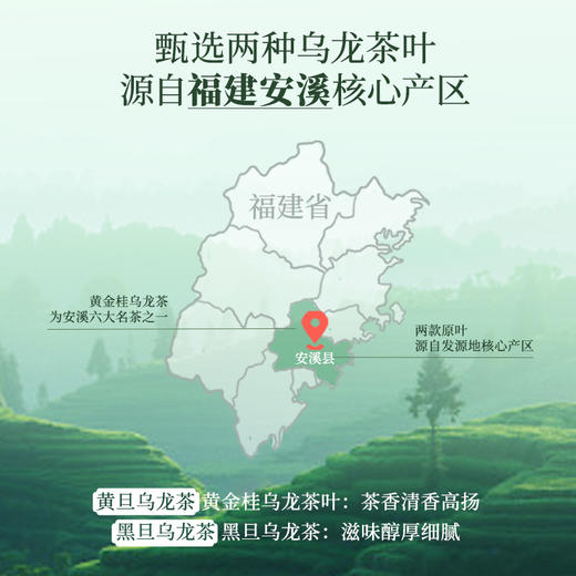 屈臣氏 茶之旅人混旦乌龙茶  480ML*1*15 商品图3