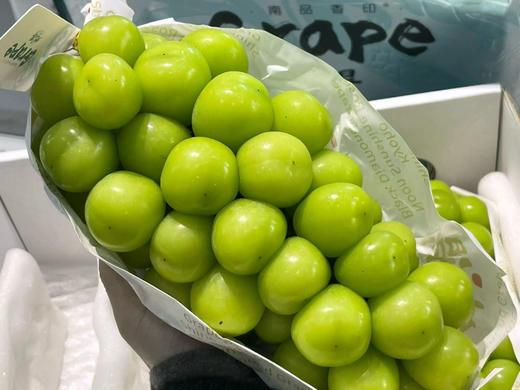 特级·晴王🍇 ✨引进日本优良品种，出身即不凡！入口满腔果香，香甜.“集清香、果香与花香于一身的梦幻葡萄”颜值出众，颗颗犹如绿宝石一般😍 商品图1