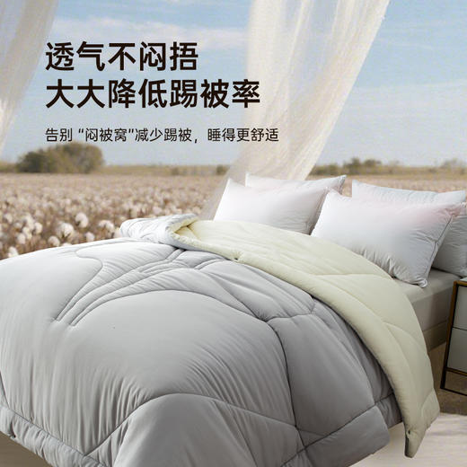 2025年秋冬新款雅芳婷100%新疆棉花被冬季加厚棉被纯棉絮被子被芯 商品图4