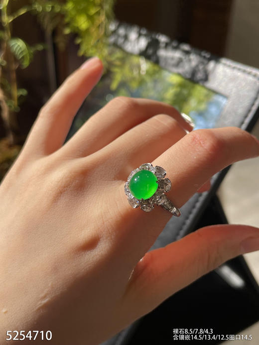 5254710，蛋面戒指  具体价格微信咨询 商品图3