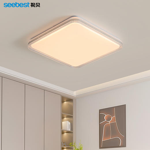 铂金系列-客卧灯 商品图10