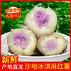 【助农】冰淇淋番薯 （5斤装） 商品缩略图1