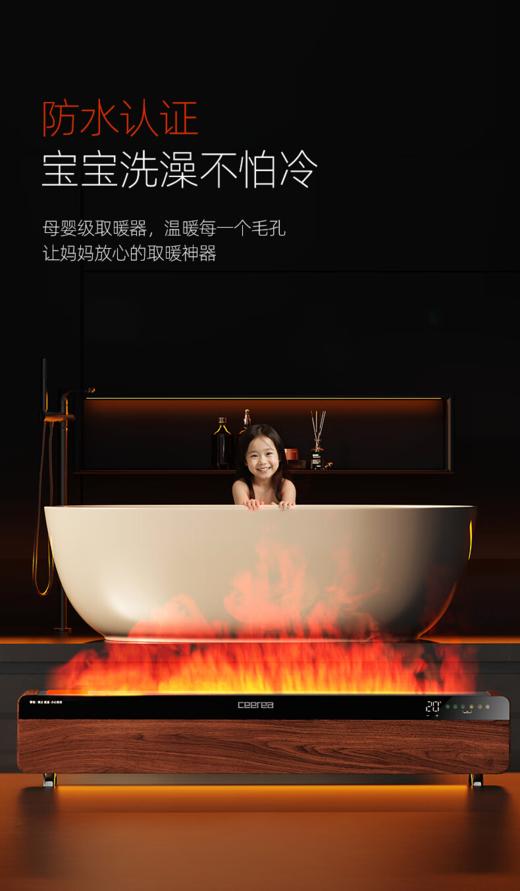 西丽5D火焰取暖器 商品图4