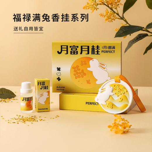 「月发富桂·礼盒装」中秋节石膏香薰礼盒衣柜月兔香挂居家日用室内车载扩香石伴手礼品 商品图3