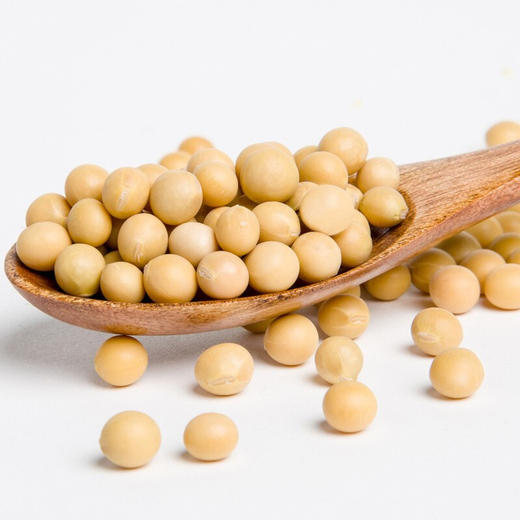 七河源有机黄大豆1kg【※】 商品图7