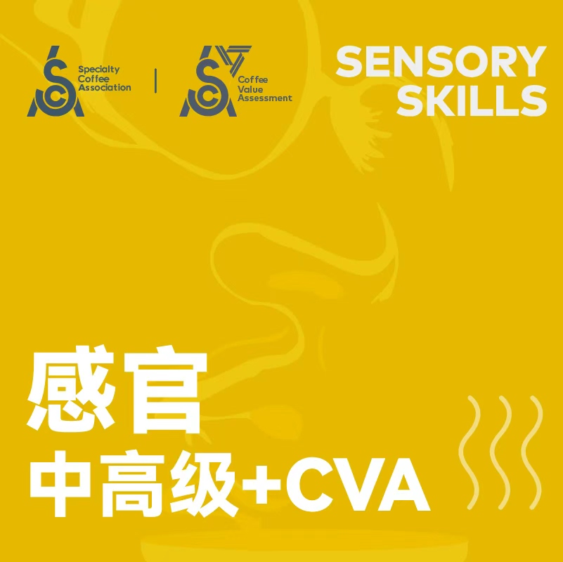 武汉-SCA咖啡感官中高级+CVA