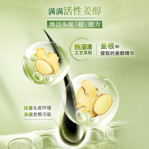 施华蔻 生姜精华洗发露600ml*2 商品图2