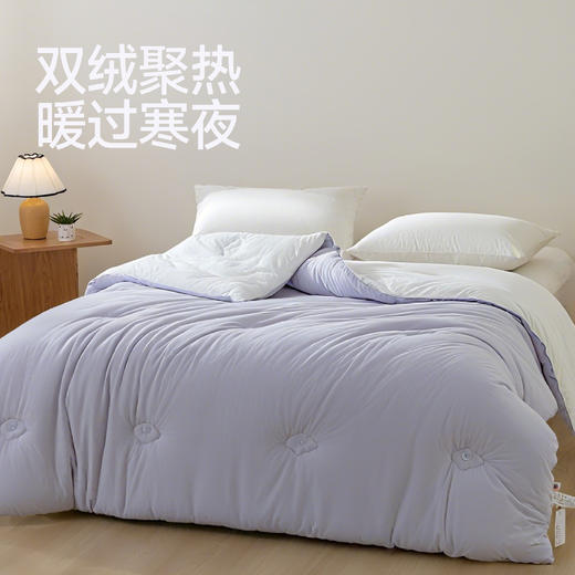 【白禾】【新款】白禾A火山双面绒舒适被芯 商品图3
