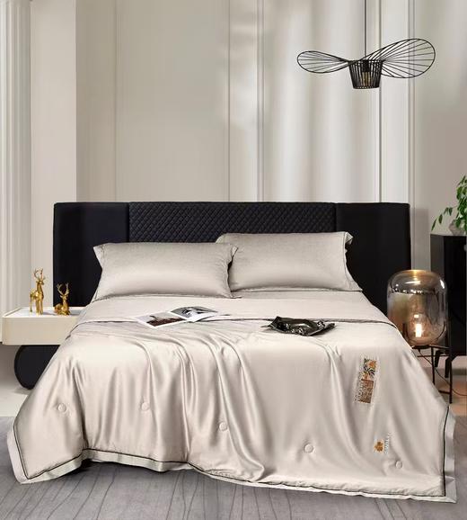 CP竹纤维莫里斯蚕蛹蛋白抗菌被25216 商品图2