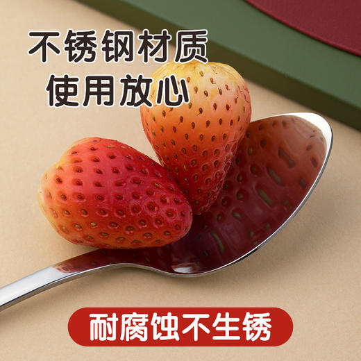 【茶花】甄享不锈钢家用餐勺 商品图2