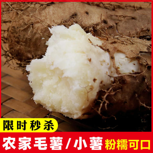 【助农】毛薯（5斤装） 商品图0