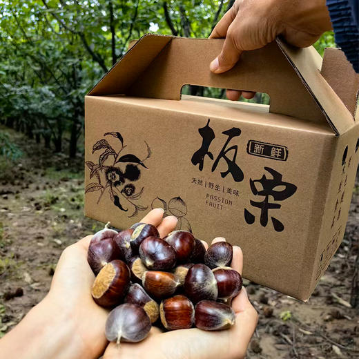 自然农法板栗 怀柔油栗核心产区 8斤中大果礼盒装 商品图0