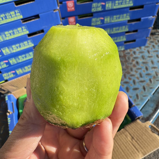 瑞玉阳光猕猴桃 商品图2