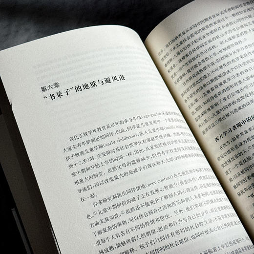 文化溯源 东方与西方的学习理念 李瑾 哈佛华人教育家多年实证研究之作 商品图11