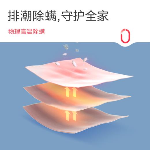彩虹电热毯（长2.0米*宽1.8米）自动控温特大宽幅双控双温双面纯棉电热毯1535【花色随机】 商品图7