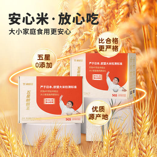 太粮五星靓虾王5kg 商品图2
