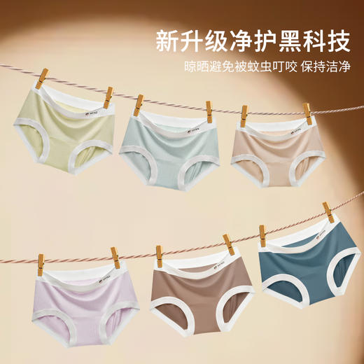 【超值6条装】MEINS/梅因斯 A类天丝净护女士内裤 6条装 商品图2
