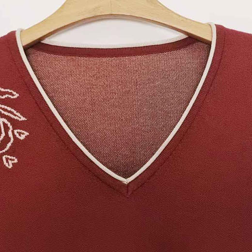 VIVIAN LIU薇薇安刘F2556301秋季女装新款v领提花修身毛衣 商品图2