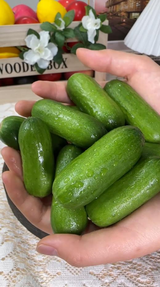 拇指黄瓜 清脆多汁 一口一根 超好吃 商品图10