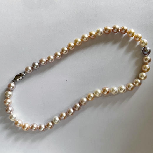 CLASSIC系列 淡水珍珠 项链 商品图0