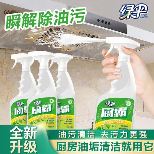 绿伞厨霸500g油烟净厨房重油污清洁剂抽油烟机灶台瓷砖去重油 商品图8