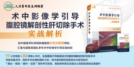 术中影像学引导腹腔镜解剖性肝切除手术实战解析【优盘】 商品图1