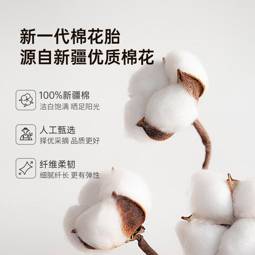 2025年秋冬新款雅芳婷100%新疆棉花被冬季加厚棉被纯棉絮被子被芯 商品图1