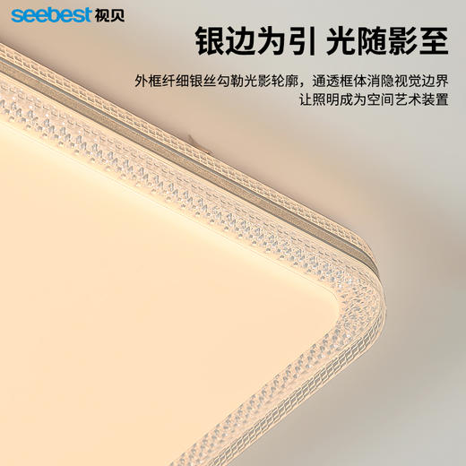 铂金系列-客卧灯 商品图3