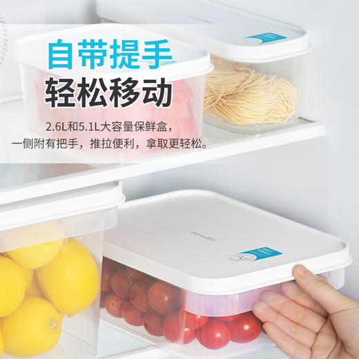 【茶花】抗菌保鲜盒冰箱专用食品保鲜盒 商品图3