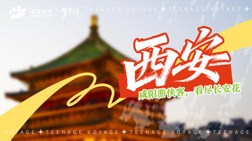 咸阳游侠客，看尽长安花——西安 商品图0