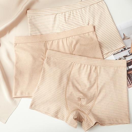 天然新疆彩棉 男士平角内裤（升级款）三条装 商品图3