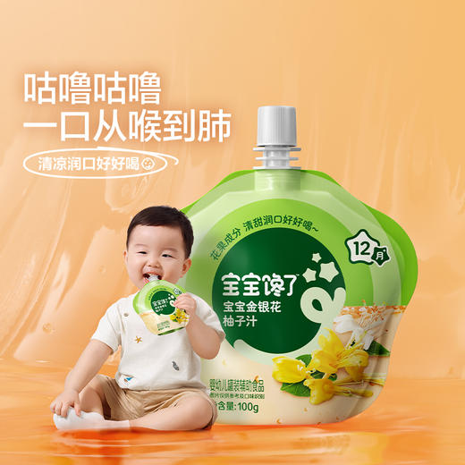 宝宝馋了 金银花柚子汁 100g*10 商品图2