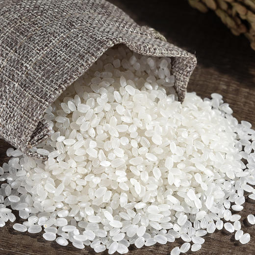 华稻良谷纪五常大米 5kg 商品图3