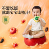 宝宝馋了 宝宝山楂汁 100g*10 商品缩略图0