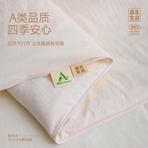 【白禾】【白禾25年秋冬新款上新】A豆蔻暖居四季子母被芯 商品图2