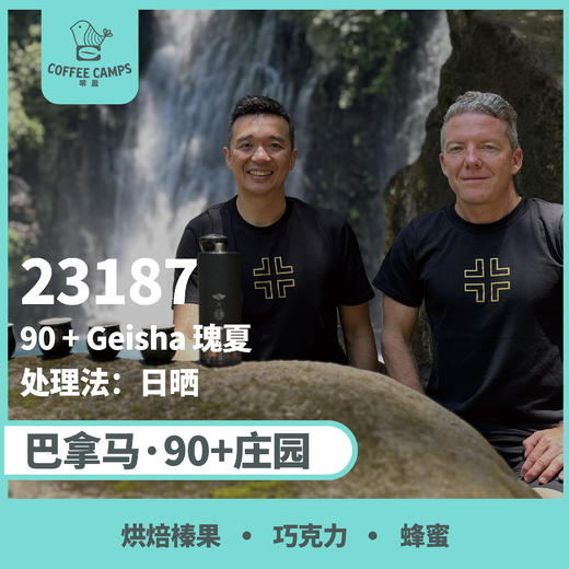 巴拿马 90+ 23187批次 瑰夏 日哂（生豆） 商品图0