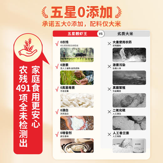太粮五星靓虾王5kg 商品图4
