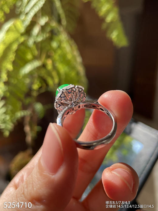 5254710，蛋面戒指  具体价格微信咨询 商品图5