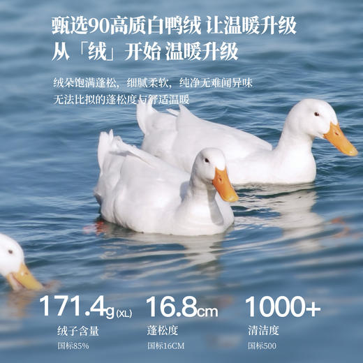 【10/29新品】熙世界高智风雪域保暖面包羽绒服女冬季超好看白鸭绒连帽短款外套 商品图3