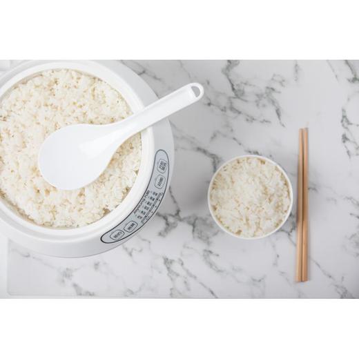 【茶花】饭瓢2只装(大号小号) 商品图2