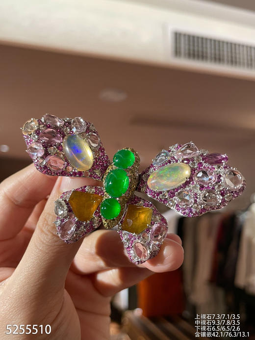 蝴蝶胸针【5255510】具体价格微信咨询 商品图0