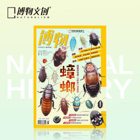 博物杂志 2025年11月刊 蟑螂